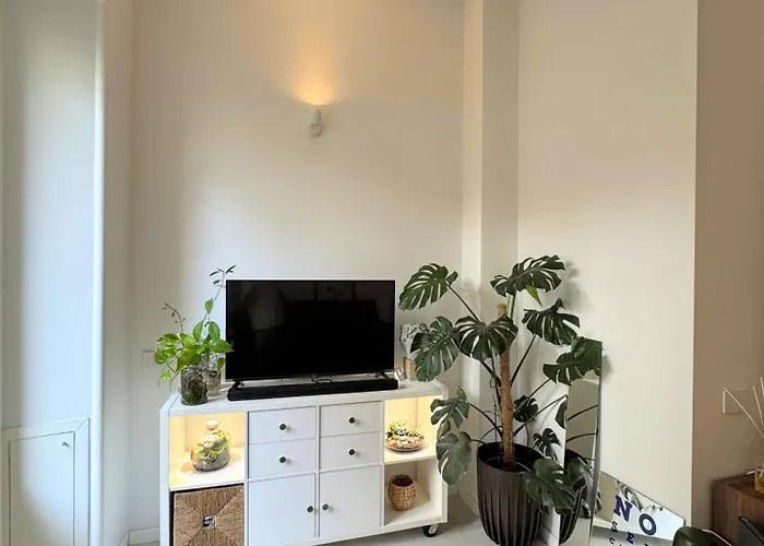 Apartment Design With Garden Close To Station *